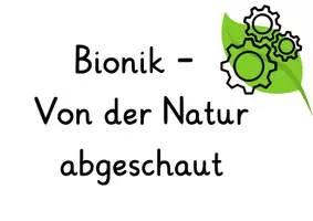 Vorschau - Arbeitsblätter - Materialpaket_Thema Bionik - Seite 1