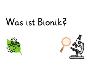 Vorschau - Arbeitsblätter - Materialpaket_Thema Bionik - Seite 2