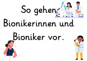 Vorschau - Arbeitsblätter - Materialpaket_Thema Bionik - Seite 3
