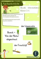 Vorschau - Poster - Bionik_Reihentransparenz_Sachunterricht_Klasse 3-4 - Deckblatt