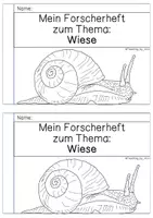Vorschau - Arbeitsblätter - Forscherheft - Wiese - Seite 1