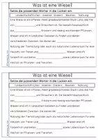 Vorschau - Arbeitsblätter - Forscherheft - Wiese - Seite 3