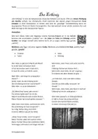 Vorschau - Arbeitsblätter - Der Erlkönig - Erarbeitung Ballade zum Inneren Monolog - Seite 3