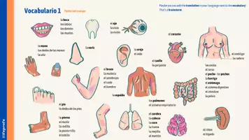 Vorschau - Präsentationen/Tafelbilder - El cuaderno de la salud - Gesundheitsbroschüre auf Spanisch - Seite 1