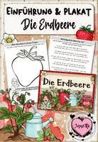 Vorschau - Arbeitsblätter - Erdbeere | Materialpaket | Sachunterricht Klasse 2/3 - Seite 1