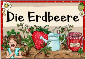 Vorschau - Arbeitsblätter - Erdbeere | Materialpaket | Sachunterricht Klasse 2/3 - Seite 2