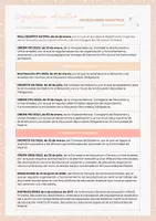 Vista previa - Unidades / Secuencias / Situaciones de Aprendizaje - Oposiciones PT Madrid: Pack Esquemas temas del 1 al 25 - página 2