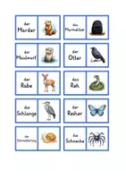 Vorschau - Spiele - Domino heimische Tiere - Seite 2