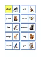 Vorschau - Spiele - Domino local animals - Deckblatt