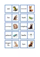 Vorschau - Spiele - Domino local animals - Seite 1