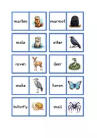 Vorschau - Spiele - Domino local animals - Seite 2