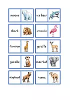 Vorschau - Spiele - Domino wild animals - Seite 1