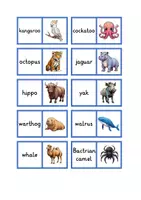 Vorschau - Spiele - Domino wild animals - Seite 3