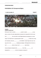 Vorschau - Arbeitsblätter - Licht - Arbeitsblätter mit Lösungen - Deckblatt
