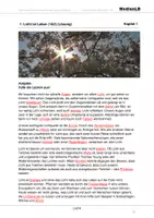 Vorschau - Arbeitsblätter - Licht - Arbeitsblätter mit Lösungen - Seite 2
