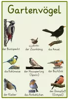 Vorschau - Spiele - Schau schnell !!! Gartenvögel - Seite 2