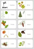 Vorschau - Spiele - Lapbook Holz - Differenzierung - WG 3/4 - Seite 2