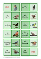 Vorschau - Spiele - Lernspielepaket Gartenvögel - Seite 3