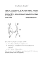 Vorschau - Arbeitsblätter - Experimente zum Thema „Gelenke“ - Deckblatt