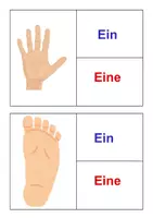 Vorschau - Bildkarten - Bildkarten unbestimmte Artikel Körper - Seite 1
