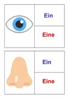 Vorschau - Bildkarten - Bildkarten unbestimmte Artikel Körper - Seite 2