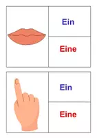 Vorschau - Bildkarten - Bildkarten unbestimmte Artikel Körper - Seite 3