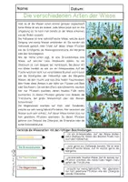 Vorschau - Arbeitsblätter - Wiese - Arbeitsblätter / Lerntheke - Seite 2