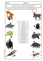 Vorschau - Arbeitsblätter - Waldtiere - Lerntheke - Seite 1