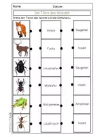 Vorschau - Arbeitsblätter - Waldtiere - Lerntheke - Seite 2
