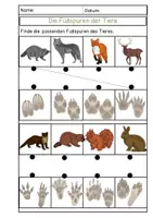 Vorschau - Arbeitsblätter - Waldtiere - Lerntheke - Seite 3