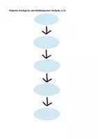 Vorschau - Arbeitsblätter - Evolution der Wale - Seite 3