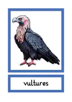 Vorschau - Bildkarten - picture cards wild animals A4 & A5 - Seite 1