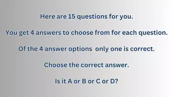 Vorschau - Arbeitsblätter - US PRESIDENT - 15 questions in quiz form - Seite 2