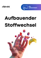 Vorschau - Unterrichtsreihen - Unterrichtsreihe "Aufbauender Stoffwechsel - Biologie Abitur" - Deckblatt
