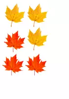 Aperçu - Feuilles d'exercices - complément à 6 + affichage avec comptine - Page 2