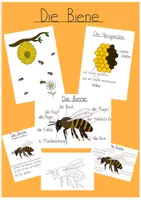 Vorschau - Arbeitsblätter - Materialpaket Biene - ALLE Materialien zum Thema - Deckblatt