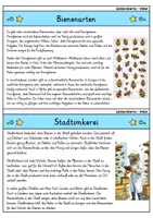Vorschau - Stationenlernen - Wissenskartei - 50 Berufe zur Berufsvorbereitung - Seite 3