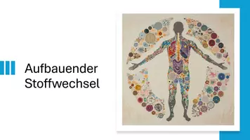 Vorschau - Präsentationen/Tafelbilder - Unterrichtseinstieg: Aufbauender Stoffwechsel in Biologie - Seite 1