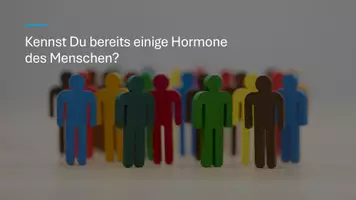 Vorschau - Präsentationen/Tafelbilder - Unterrichtseinstieg: Aufbauender Stoffwechsel in Biologie - Seite 2