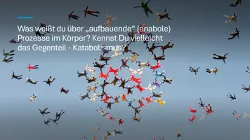 Vorschau - Präsentationen/Tafelbilder - Unterrichtseinstieg: Aufbauender Stoffwechsel in Biologie - Seite 3