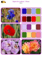 Aperçu - Jeux - Repère les couleurs - Fleurs pour le printemps - Page 3