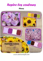 Aperçu - Jeux - Repère les couleurs - Fleurs pour le printemps - Page de couverture