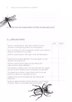 Vorschau - Arbeitsblätter - Hörverstehen Podcast Geolino Welt ohne Insekten - Seite 2