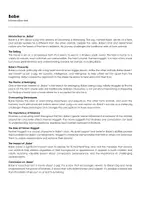 Aperçu - Feuilles d'exercices - Babe (fiches de travail en anglais sur le film) - Page de couverture