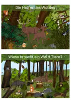 Vorschau - Text - Wissenskarten - Wald - Seite 1