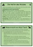 Vorschau - Text - Wissenskarten - Wald - Seite 2