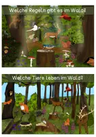Vorschau - Text - Wissenskarten - Wald - Seite 3
