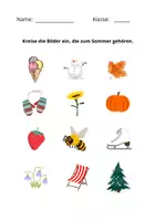 Vorschau - Arbeitsblätter - Der Sommer - 2. Klasse - Sachunterricht - Seite 1