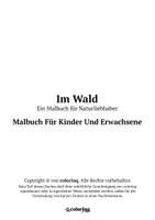 Vorschau - Arbeitsblätter - Im Wald ❤ Ausmalbilder (51 Malvorlagen) - Malbuch - Seite 1
