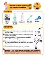 Aperçu - Expériences - Ballon Auto-goflon & la méthode scientifique - Page 3